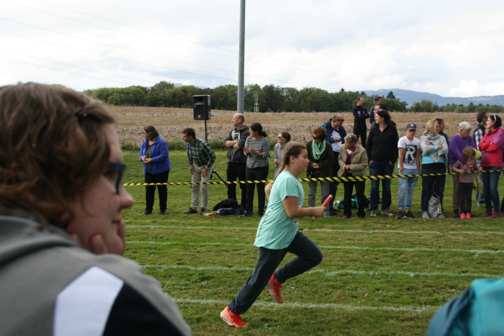 Bild 1 (145)